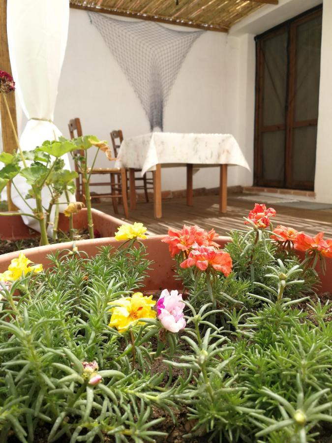 Casa Sartiglia Apartment Oristano Exterior photo